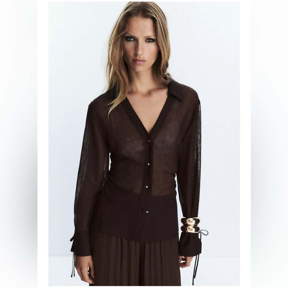 Zara Sheer Brown Button-Up Blouse
